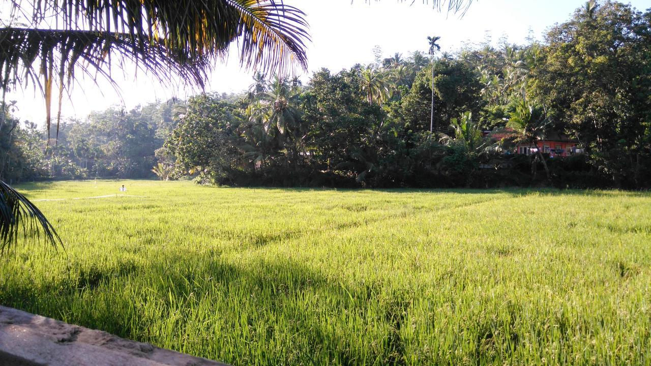 Villa Paddy Fields View Mirissa Εξωτερικό φωτογραφία